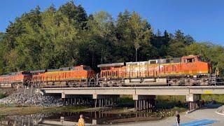 5 Trains! BNSF + Amtrak From Meadowdale Beach! The Most Beautiful Railfan Location!