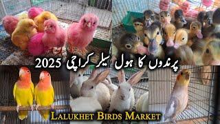 Birds Wholesaler in Karachi | Birds Shop in Lalukhet Birds Market Karachi | Danish Ahmed Vlogs