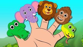  Wild Animals Finger Family + More Nursery Rhymes And Toddler Songs