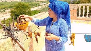 بث مباشر :حبيبة في البادية