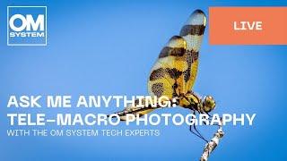 English | Ask me anything: Tele-Macro Photography