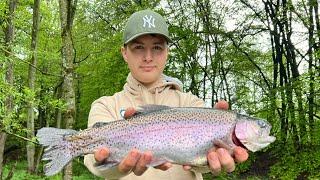 Insane Germany trout fishing #trout #germany #fishing