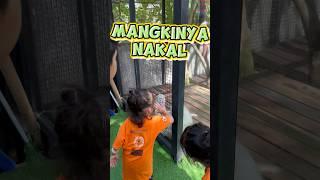  Feeding Monkeys Gone Wild 