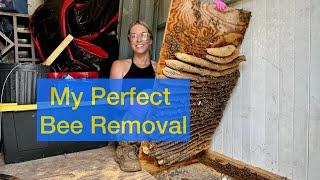 How To Get Gentle Honey Bees Out Of A Shed Floor