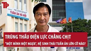 Trúng thầu điện lực chằng chịt "một mình một ngựa", hệ sinh thái Tuấn Ân lớn cỡ nào?