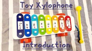 Introduction to the toy xylophone!