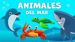 Los animales acuáticos para niños | Animales del mar |  Vocabulario para niños