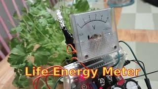 Life Energy Meter