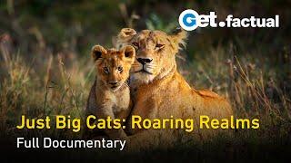 The Biggest Cats in the World: Roaring Realms | Full Wildlife Documentary