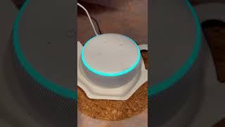 Amazons Alexa’s 09-27-2024 #alexa #musician #viralvideo #viralshorts #youtubeislife #youtubeshorts