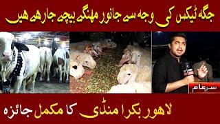 Sar e Aam Latest | Lahore Bakra Mandi ka Jaiza | Iqrar Ul Hassan | ARY News