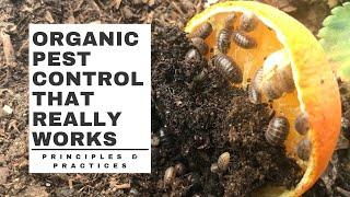 Organic PEST CONTROL that really WORKS