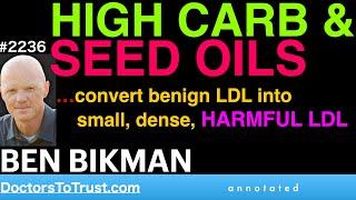 BEN BIKMAN h5 | HIGH CARB & SEED OILS:  convert benign LDL into small, dense Harmful LDL