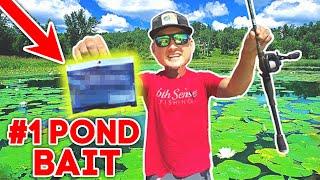 Catch 15x More Fish BANK FISHING w/ This Bait!! --ULTIMATE Beginner Fishing Lure!