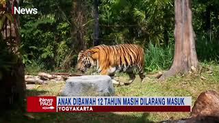 Gembira Loka Zoo Hanya Buka di Akhir Pekan, Yogyakarta #iNewsPagi 03/10