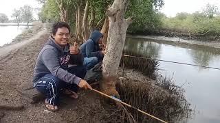 mancing di kali gisik kalanganyar // spot mancing liar #mancingliaranterbaru #mancingliar #fishing