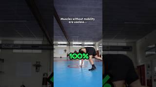 Muscles Without Mobility Are Useless