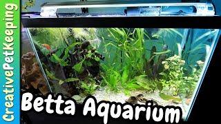 20 Gallon Betta Community Tank | Aquarium Co-Op UNBOXING