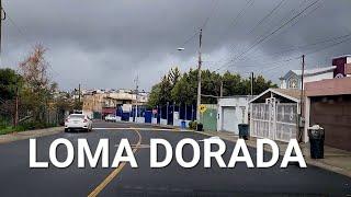 LOMA DORADA  /// Tijuana ️