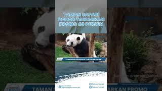 Taman Safari Bogor, Tempat Wisata Ramah Keluarga Bagi-bagi Promo Selama Bulan September