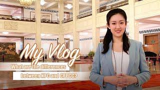 My Vlog: What are the differences between NPC and CPPCC?