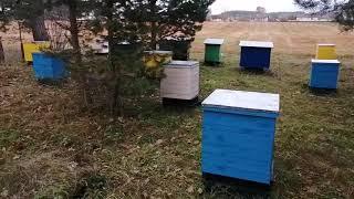 Доход от пчел в первом сезоне!? Планы на следующий год!