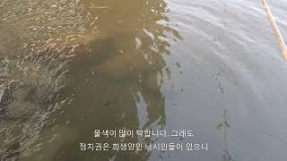 2021.05.23 한강 행주대교