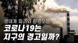 코로나19, 지구의 경고 - 생태계 파괴와 환경오염, 기후위기가 불러온 재앙일까? [다큐S프라임] / YTN 사이언스