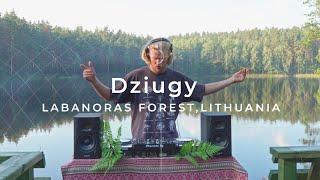 Dziugy at Labanoras Forest Lakes - Sunrise Dance/Electronic Music Mix