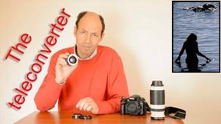 The advantages and disadvantages of using a teleconverter Photography classes 1
