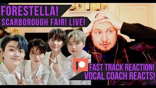 Vocal Coach Reacts! Forestella! Scarborough Fair! Live!