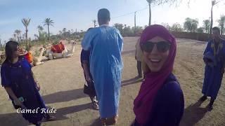 Marrakech - The Gateway to the Sahara