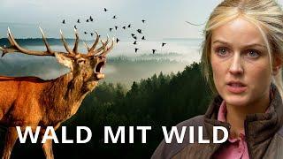 WALD MIT WILD I Unterwegs mit Marie Hoffmann