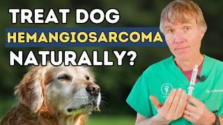 Is Your Dog at Risk for Hemangiosarcoma? 5 Natural Ways to Fight Cancer in Dogs