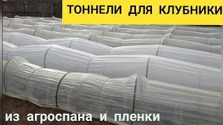 Тоннели для клубники из агроспана и пленки.