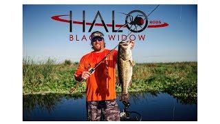 The Halo Black Widow -The Latest In Fishing Rod Technology