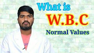 What is W.B.C Test&Normal Values||White Blood Cells