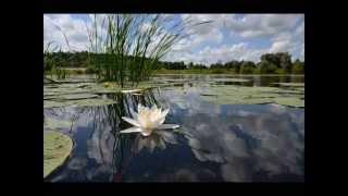 Claude Debussy -  Reflets dans l'eau - Reflections in the Water