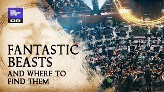 Fantastic Beasts and Where to Find Them   // Danish National Symphony Orchestra (Live)