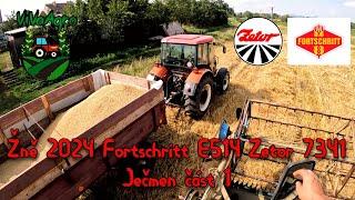 Žně-Zbiór-Harvest 2024 Fortschritt Zetor, ječmen část 1