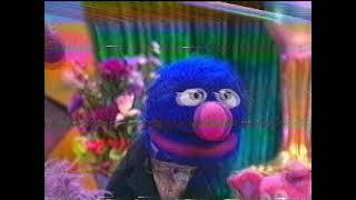 Sesame Street - The Best of Kermit on Sesame Street VHS (but it's being rewound in my VCR)