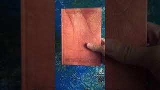 Книга-ракета