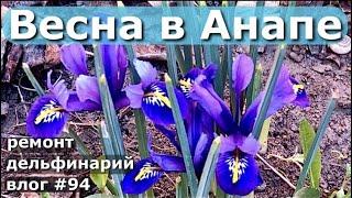 ЖИЗНЬ В ДЕРЕВНЕ / ВЕСНА В АНАПЕ / ПРЕКРАСНАЯ ПОГОДА / БЕЗ ПИЩИ / ТРОМБОЦИТЫ / ЦВЕТЫ / ДЕЛЬФИНАРИЙ