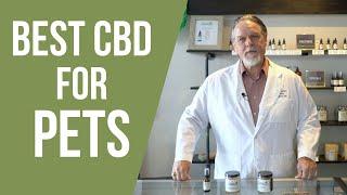 Best CBD for Pets 2023