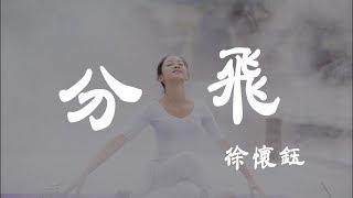 分飛 - 徐懷鈺 - 『超高无损音質』【動態歌詞Lyrics】