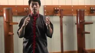 Preview: Shaolin Wing Chun Series: Level 2 Vol 3