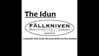 The Idun from Fallkniven, I consider this to be the best knife on the market...