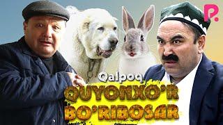 Qalpoq - Quyonxo'r bo'ribosar (hajviy ko'rsatuv)