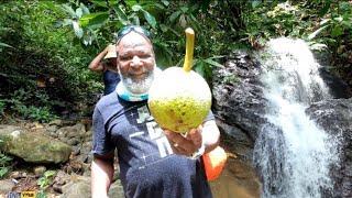 When Americans visit a waterfall in St.Vincent  #caribbean #travel #stvincent