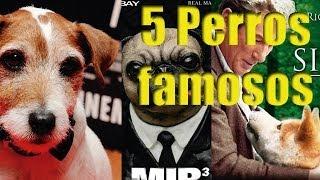 Top 5 de perros famosos en el cine